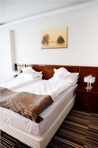 Отель Hotel Belvedere Ботошани Стандартный двухместный номер с 1 кроватью или 2 отдельными кроватями-2
