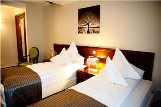 Отель Hotel Belvedere Ботошани Стандартный двухместный номер с 1 кроватью или 2 отдельными кроватями-3